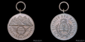 Argentina. 1882-1883. Campaña de los Andes. Cobre