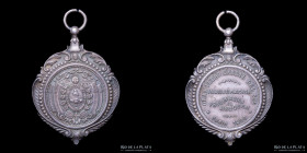 Argentina. Ferroviarias. 1899. FFCC del Sur a Neuquen. Plata