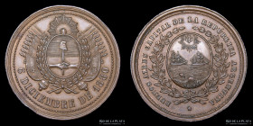 Argentina. 1880. Buenos Aires Capital Nacional. R. Grande