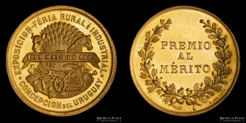 Argentina. 1884. Exposición Rural Premio al Mérito. Oro; 37.5mm; 34.26g. A: EXPO...