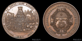Argentina. 1887. Exposicion Entre Rios. Cobre. R. Grande