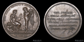 Francia. 1802. Napoleon Bonaparte. Constitucion Republica Cisalpina