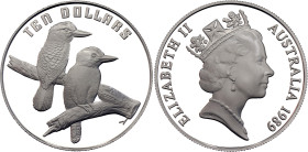 Australia 10 Dollars 1989. KM# 133, N# 127406; Silver 20.00 g., Proof; Elizabeth II; Birds of Australia - Kookaburra; Mintage: 50000 pcs; With the cer...