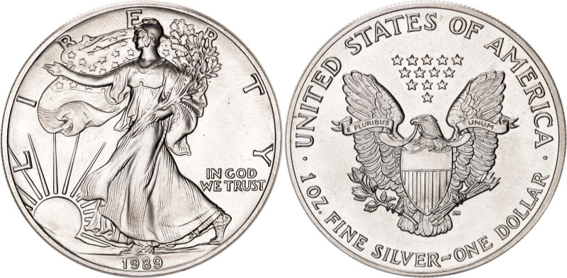 United States 1 Dollar 1989. KM# 273, N# 1493; Silver 31.10 g.; "American Silver...