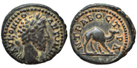 ARABIA. Bostra. Commodus, 177-192. Ae (bronze, 4.33 g, 18 mm). ΑV ΚΟΜΜΟ ΑΝΤUΝΙΝΟϹ Laureate head right. Rev. Ν ΤΡΑ ΒΟϹΤΡΑ. Camel walking right. RPC IV....