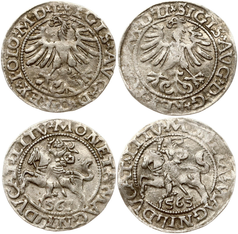 Lithuania. Zygmunt II August (1545–1572). Polgrosz 1565. Vilnius. Silver total w...