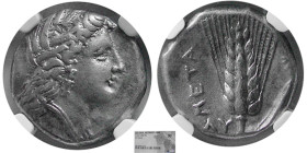 LUCANIA, Metapontum. Circa 330-280 BC. AR Stater. NGC-XF.