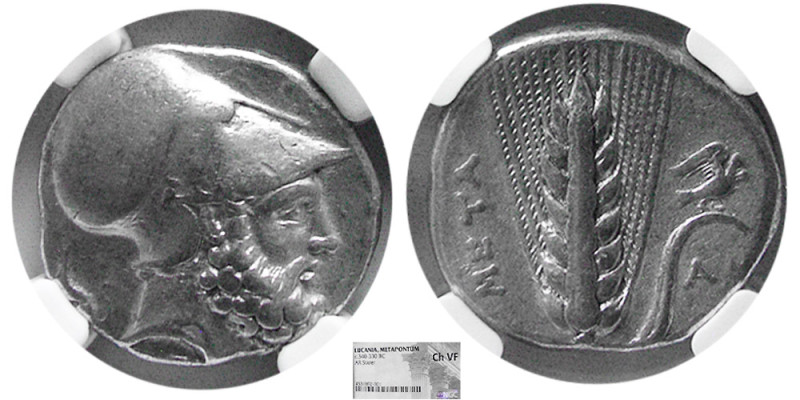 LUCANIA, Metapontum. Circa 340-330 BC. AR Stater. NGC-Choice VF. Bearded head of...