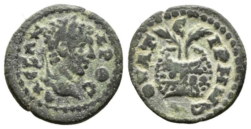 LYDIA. Thyatira. Severus Alexander (222-235). Ae. ( 3.43 g. / 20.1 mm ).