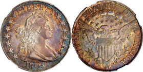 1805 Draped Bust Half Dollar. O-112, T-2. Rarity-2. AU-55 (NGC).
PCGS# 39286. NGC ID: 24EG.