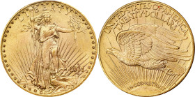 1911-D/D Saint-Gaudens Double Eagle. FS-501. Repunched Mintmark. MS-66 (PCGS).
PCGS# 89158. NGC ID: 26FK.
PCGS Population (FS-501 attribution only):...