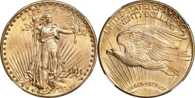 1911-D/D Saint-Gaudens Double Eagle. FS-501. Repunched Mintmark. MS-66 (NGC).
PCGS# 145010. NGC ID: 26FK.