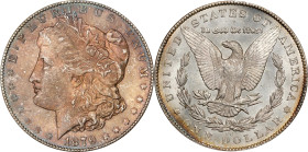 1879-CC Morgan Silver Dollar. Clear CC. MS-64+ (PCGS). CAC.
PCGS# 7086. NGC ID: 253T.
From the Rick Appel Collection.
From the Rick Appel Collectio...