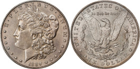 1889-CC Morgan Silver Dollar. Unc Details--Altered Surfaces (PCGS).
PCGS# 7190. NGC ID: 2559.