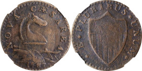 1787 New Jersey Copper. Maris 46-e, W-5250. Rarity-1. No Sprig Above Plow, Clashed Die. VF-25 BN (NGC).
PCGS# 506. NGC ID: AUL8.