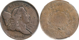 1794 Liberty Cap Half Cent. C-2a. Rarity-2+. Normal Head, Small Edge Letters. Good-6 (PCGS).
PCGS# 1003. NGC ID: 2223.
