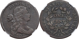 1802 Draped Bust Cent. S-226. Rarity-3. VF-25 BN (NGC).
PCGS# 1470. NGC ID: 224E.