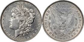 1878 Morgan Silver Dollar. 8 Tailfeathers. AU Details--Cleaned (PCGS).
PCGS# 7072. NGC ID: 253H.