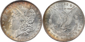 1878 Morgan Silver Dollar. 7/8 Tailfeathers. Strong. MS-62 (PCGS).
PCGS# 7078. NGC ID: 2TY3.