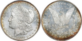 1878-CC Morgan Silver Dollar. VAM-18. Top 100 Variety. Doubled Die Obverse, Doubled Leaves. MS-62 PL (PCGS).
PCGS# 40457. NGC ID: 253M.
Ex Californi...