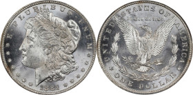 1881 Morgan Silver Dollar. MS-64 (PCGS).
PCGS# 7124. NGC ID: 2546.