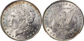 1881-CC Morgan Silver Dollar. MS-62 (NGC).
PCGS# 7126. NGC ID: 2547.
From the Maine Carson City Hoard.
From the Maine Carson City Hoard.