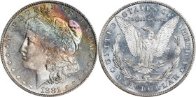 1881-S Morgan Silver Dollar. MS-66 PL (PCGS). CMQ.
PCGS# 7131. NGC ID: 2549.