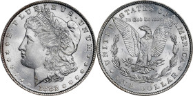 1882 Morgan Silver Dollar. MS-64+ (PCGS). CAC.
PCGS# 7132. NGC ID: 254A.
From the Rick Appel Collection. Earlier ex GSA.
From the Rick Appel Collec...