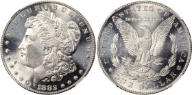 1882-CC Morgan Silver Dollar. MS-64 (NGC).
PCGS# 7134. NGC ID: 2574.
From the Maine Carson City Hoard.
From the Maine Carson City Hoard.