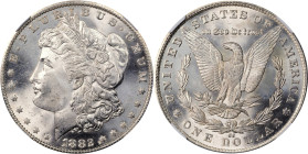 1882-CC Morgan Silver Dollar. MS-64 (NGC).
PCGS# 7134. NGC ID: 2574.
From the Maine Carson City Hoard.
From the Maine Carson City Hoard.
