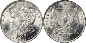 1882-CC GSA Morgan Silver Dollar. MS-64 (NGC).
PCGS# 518866. NGC ID: 254B.