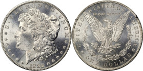1882-CC GSA Morgan Silver Dollar. MS-63 (NGC).
PCGS# 518866. NGC ID: 254B.