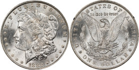 1882-CC GSA Morgan Silver Dollar. Mint State (Uncertified).
PCGS# 518866. NGC ID: 254B.
From the Maine Carson City Hoard.
From the Maine Carson Cit...