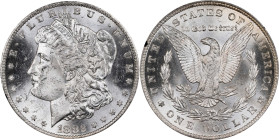 1882-CC GSA Morgan Silver Dollar. Mint State (Uncertified).
PCGS# 518866. NGC ID: 254B.
From the Maine Carson City Hoard.
From the Maine Carson Cit...