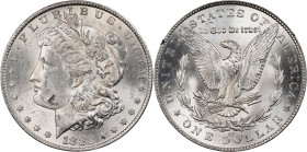 1882-CC GSA Morgan Silver Dollar. Mint State (Uncertified).
PCGS# 518866. NGC ID: 254B.
From the Maine Carson City Hoard.
From the Maine Carson Cit...