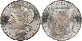 1882-CC GSA Morgan Silver Dollar. Mint State (Uncertified).
PCGS# 518866. NGC ID: 254B.
From the Maine Carson City Hoard.
From the Maine Carson Cit...