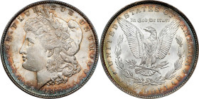 1882 Morgan Silver Dollar. MS-63 (PCGS).
PCGS# 7132. NGC ID: 254A. GREYSHEET ID: 7488.
Ex LaVere Redfield Hoard.