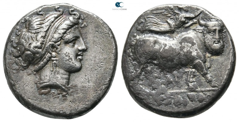 Campania. Neapolis 320-300 BC. 
Nomos AR

22 mm., 7,16 g.

[ΛE] , head of n...