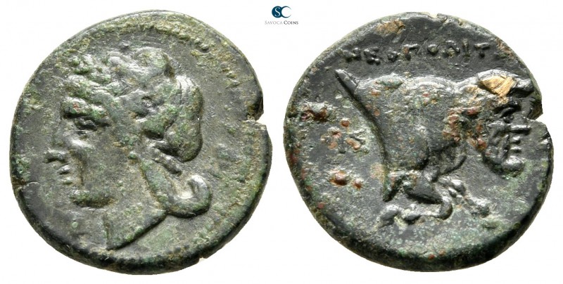 Campania. Neapolis 270-250 BC. 
Bronze Æ

15 mm., 2,20 g.

Laureate head of...