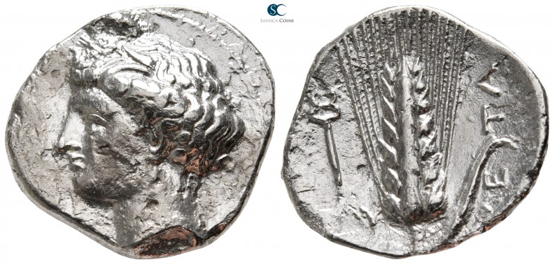 Lucania. Metapontion 340-330 BC. 
Nomos AR

23 mm., 7,08 g.

Head of Demete...