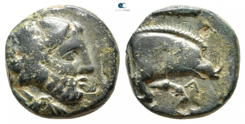 Kings of Macedon. Amyntas III 393-369 BC. 
Bronze Æ

12 mm., 2,06 g.

Head ...