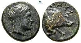 Kings of Macedon. Pausanias 395-393 BC. Bronze Æ