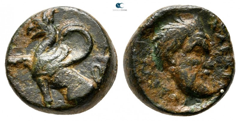 Thrace. Abdera 395-360 BC. Kleantides, magistrate
Chalkous Æ

12 mm., 2,11 g....
