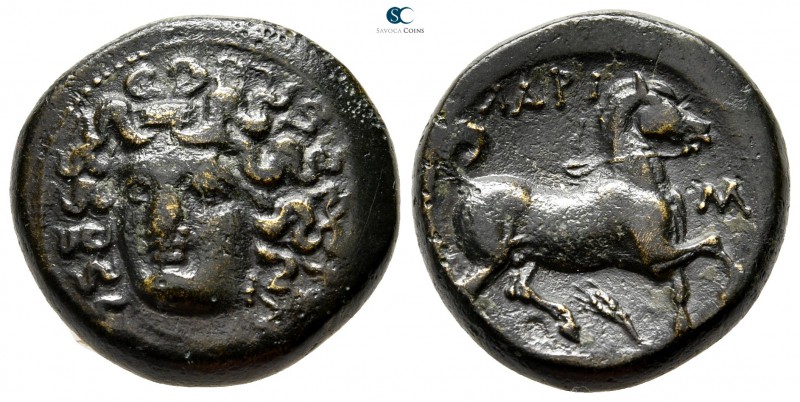 Thessaly. Larissa 356-337 BC. 
Tetrachalkon Æ

20 mm., 9,43 g.

Head of the...