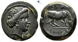 Thessaly. Larissa circa 350-320 BC. Dichalkon Æ