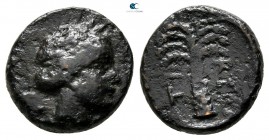Argolis. Tiryns circa 370-300 BC. Bronze Æ