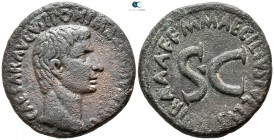 Augustus 27 BC-AD 14. M. Aecilius Tullus, moneyer. Struck 7 BC.. Rome. As Æ