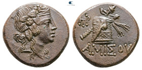 Pontos. Amisos. Time of Mithradates VI Eupator circa 120-63 BC. 
Bronze Æ

22 mm, 9,17 g



Nearly Extremely Fine