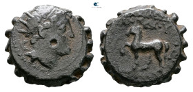 Seleukid Kingdom. Ake-Ptolemaïs mint. Antiochos VI Dionysos 144-142 BC. 
Serrate Æ

15 mm, 3,37 g



Nearly Very Fine