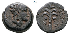 Seleukid Kingdom. Tyre. Antiochos VII Euergetes 138-129 BC. 
Bronze Æ

13 mm, 2,03 g



Nearly Very Fine